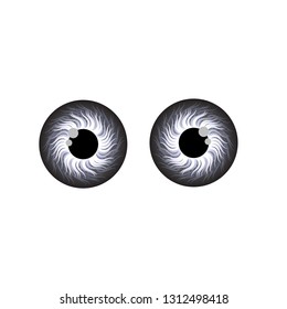 Human eyes on the white background