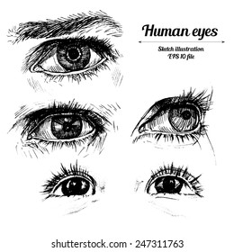 Human eyes set