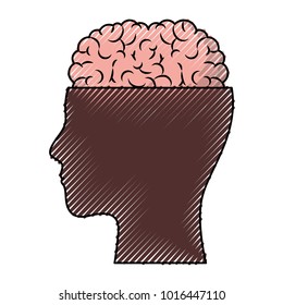 human face brown silhouette with brain exposed in colored crayon silhouette