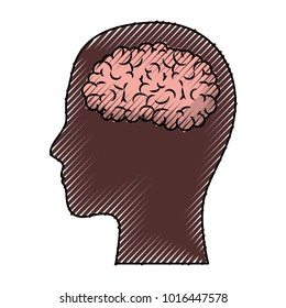 human face brown silhouette with brain inside in colored crayon silhouette