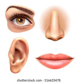 Human face parts 4 sense organs icons square collection of eye nose mouth and ear realistic vector illustration 