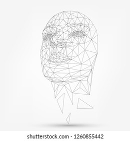 Human Face, Polygonal Mesh, Technology