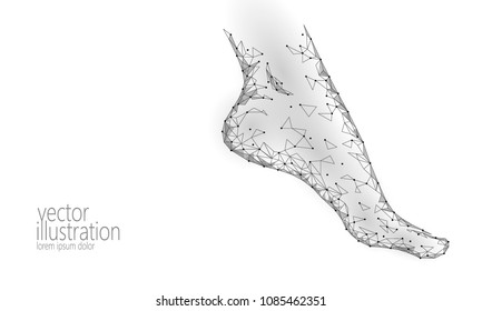 Human feet toe 3D low poly render. Polygonal gray white monochrome neutral color medical healthcare painful area. Medicine poster triangle point line leg anatomical woman foot vector illustration