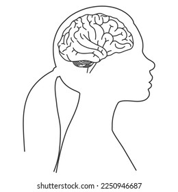 Human female brain. Linear vector illustration isolated on white background