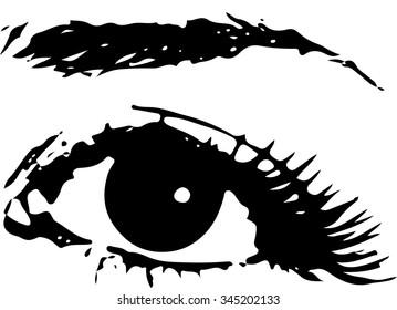 Human Female Eye with eyebrow as Vector. Icon design over white