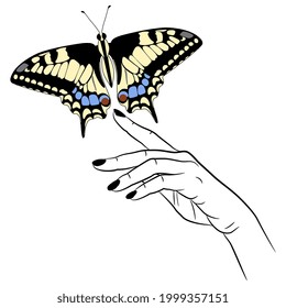 Weibliche Hand, die Alte Welt schluckelt Schmetterling hält. Papilio Machaon. Kreatives Konzept. 