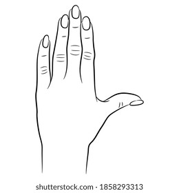 Human female hand with long nails. Top view. Black and white linear silhouette.