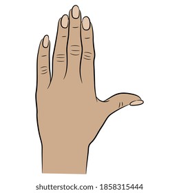 Human female hand with long nails. Top view. Cartoon style.