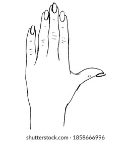 
Human female hand with long nails. Top view. Hand drawn linear doodle ink sketch. Black silhouette on white background.