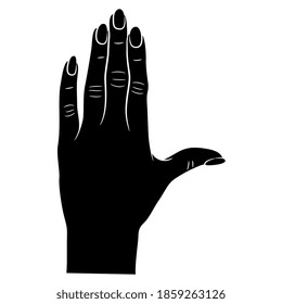 Human female hand with long nails. Top view. Black and white silhouette.