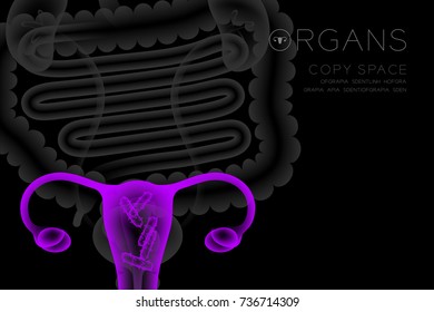 Human Female Organs X-ray set, Uterus and Ovaries infection concept idea purple color illustration isolated glow in the dark background, with Organ text icon and copy space