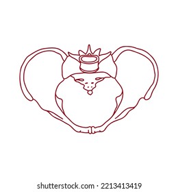 Human Female Pelvic Bones. Vector, Outline, Anatomical, Hand Drawn Illustration On White Background.