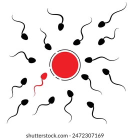 Menschliches Befruchtungskonzept mit Eizellen und Spermien. Konzeption und Reproduktion Konzept Vektorgrafik