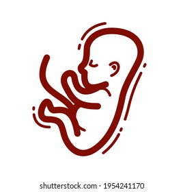 Human fetus embryo womb unborn child vector linear icon isolated on white background.