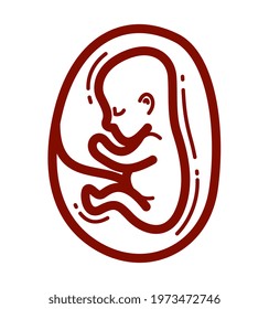 Human fetus embryo womb unborn child vector linear icon isolated on white background.