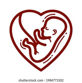 Human fetus embryo womb unborn child vector linear icon isolated on white background.