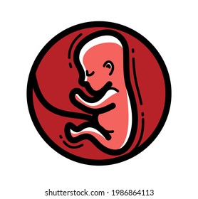 Human fetus embryo womb unborn child vector linear icon isolated on white background.