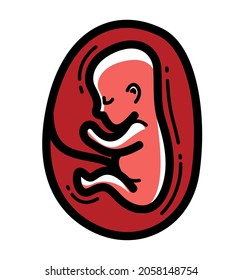 Human fetus embryo womb unborn child vector linear icon isolated on white background.