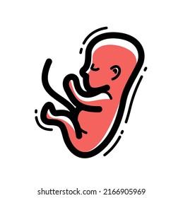 Human fetus embryo womb unborn child vector linear icon isolated on white background.