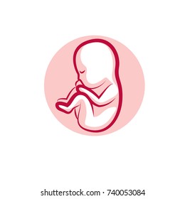 Human fetus hand-drawn vector illustration isolated on white. New life conceptual symbol.