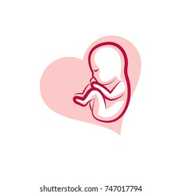 Human fetus hand-drawn vector illustration isolated on white. New life conceptual symbol.