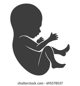 Human Fetus Icon Or Newborn And Unborn Baby Silhouette Isolated On White Background. Vector Illustration