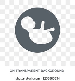 Human Fetus icon. Trendy flat vector Human Fetus icon on transparent background from Human Body Parts collection. 