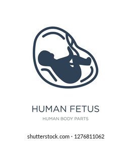 human fetus icon vector on white background, human fetus trendy filled icons from Human body parts collection, human fetus vector illustration