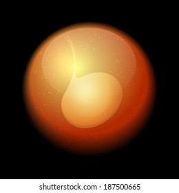 Human Fetus Inside the Womb. Vector