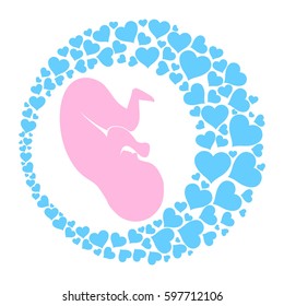 Human fetus inside the womb. Vector Illustration