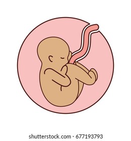 human fetus isolated icon