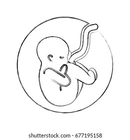 human fetus isolated icon