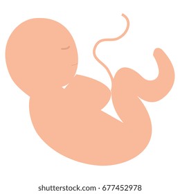 human fetus isolated icon