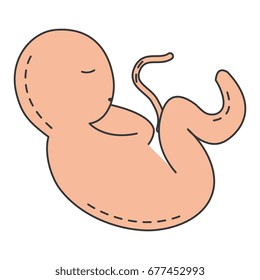 human fetus isolated icon