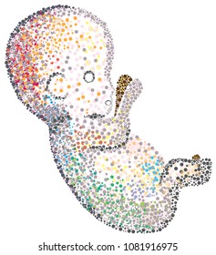 Human Fetus Mosaic Or Dotted Illustration Representing The Diversity Of Cells That Form The Complete Human Body. Spotted Fetus For Single Cell Biology On White Background, Developmental Biology!