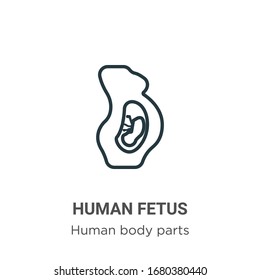 Human fetus outline vector icon. Thin line black human fetus icon, flat vector simple element illustration from editable human body parts concept isolated stroke on white background