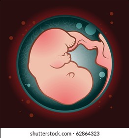 Human Fetus Pregnant in the Womb Cartoon Character