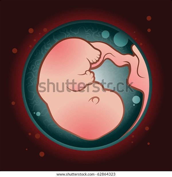 Human Fetus Pregnant Womb Cartoon Character Stock Vector Royalty Free