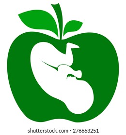 Human fetus. Vector Illustration
