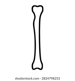 Human Fibula Bone Skeleton Line Drawing