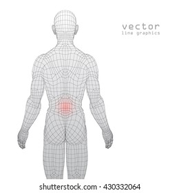 human figure line graphics 3d illustration muscle pain