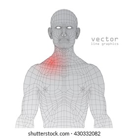 human figure line graphics 3d illustration muscle pain