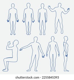Human figures in line - human posture, body structure, health diagrams - vector eps 10