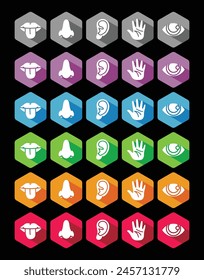 Human five senses icon set, collection of flat hexagon icon design with long shadow