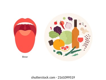 Human five taste infographic. Vector flat modern illustration. Tongue zone map. Bitter meal plate product icon set isolated on white background. Alchohol, vegetables, chocolate, leaf