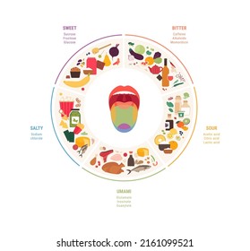 Der menschliche Fünf-Geschmack ist Infografik. Moderne Vektorgrafik. Karte der Zungenzone. Süß, umami, sauer, salzig, bitter Produktsymbol einzeln auf weißem Hintergrund. Circle Pie Chart.