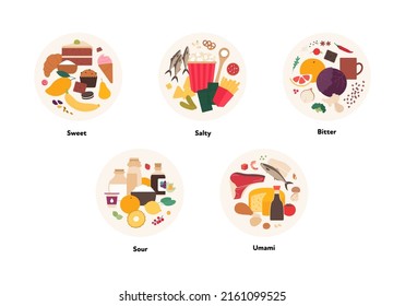 Human five taste infographic. Vector flat modern illustration. Sweet, umami, sour, salty, bitter product icon group set in circle frame isolated on white background.