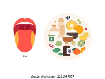 Infografía de cinco sabor humano. Ilustración moderna plana vectorial. Mapa de la zona de la lengua. Icono de producto de placa de harina agria aislado en fondo blanco. Frutas, bayas, productos lácteos.