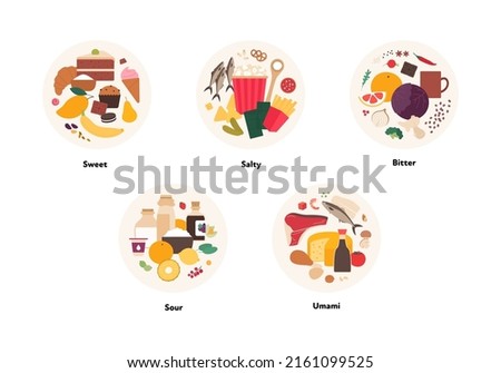 Human five taste infographic. Vector flat modern illustration. Sweet, umami, sour, salty, bitter product icon group set in circle frame isolated on white background.
