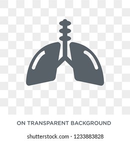 Human with focus on the lungs icon. Trendy flat vector Human with focus on the lungs icon on transparent background from Human Body Parts collection. 